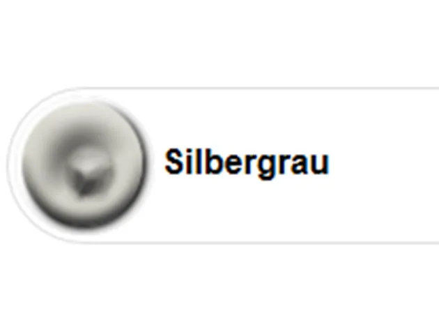 Ottoseal S110   310ml