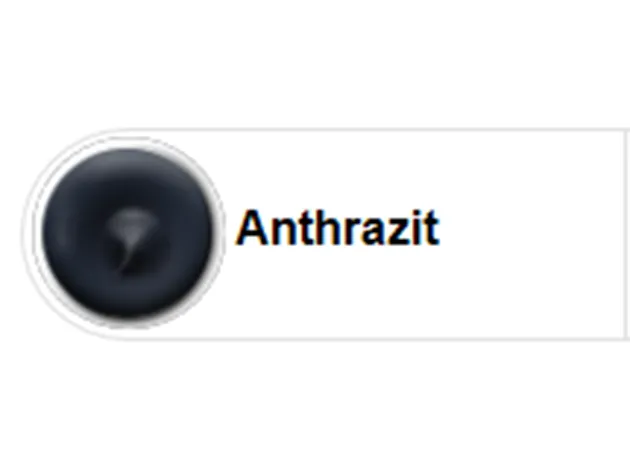 Ottoseal S110   310ml