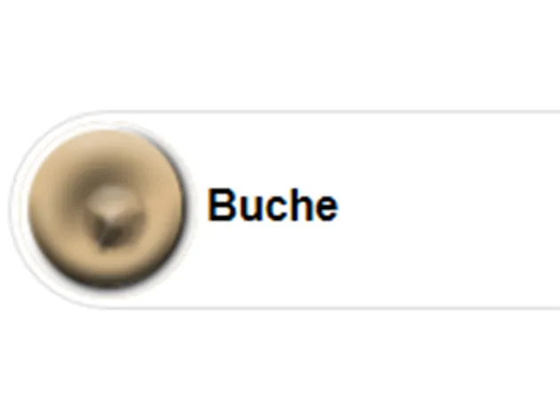 Ottoseal S110   310ml