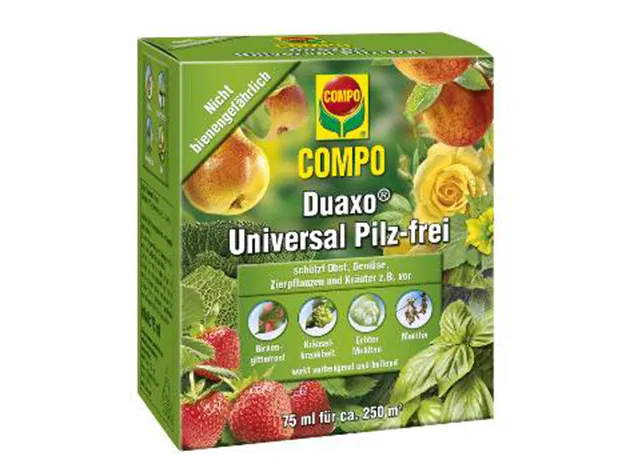 COMPO DUAXO UNIVERSAL